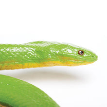 Cargar imagen en el visor de la galería, 257729-Rough Green Snake