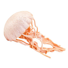 Cargar imagen en el visor de la galería, 265529-Jellyfish