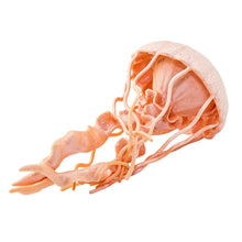 Cargar imagen en el visor de la galería, 265529-Jellyfish