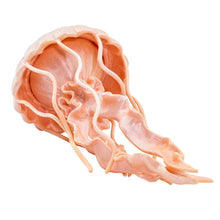 Cargar imagen en el visor de la galería, 265529-Jellyfish