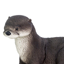 Cargar imagen en el visor de la galería, 266429-River Otter