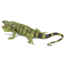 Cargar imagen en el visor de la galería, 267729-Iguana