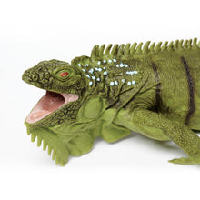 Cargar imagen en el visor de la galería, 267729-Iguana