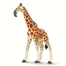 Cargar imagen en el visor de la galería, 268429-Reticulated Giraffe