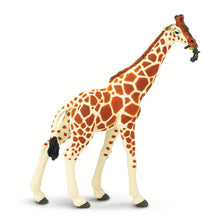 Cargar imagen en el visor de la galería, 268429-Reticulated Giraffe