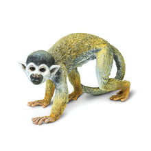 Cargar imagen en el visor de la galería, 269829-Squirrel Monkey
