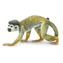 Cargar imagen en el visor de la galería, 269829-Squirrel Monkey