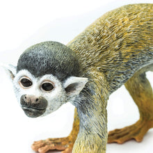 Cargar imagen en el visor de la galería, 269829-Squirrel Monkey