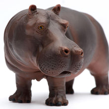 Cargar imagen en el visor de la galería, 270429-Hippopotamus