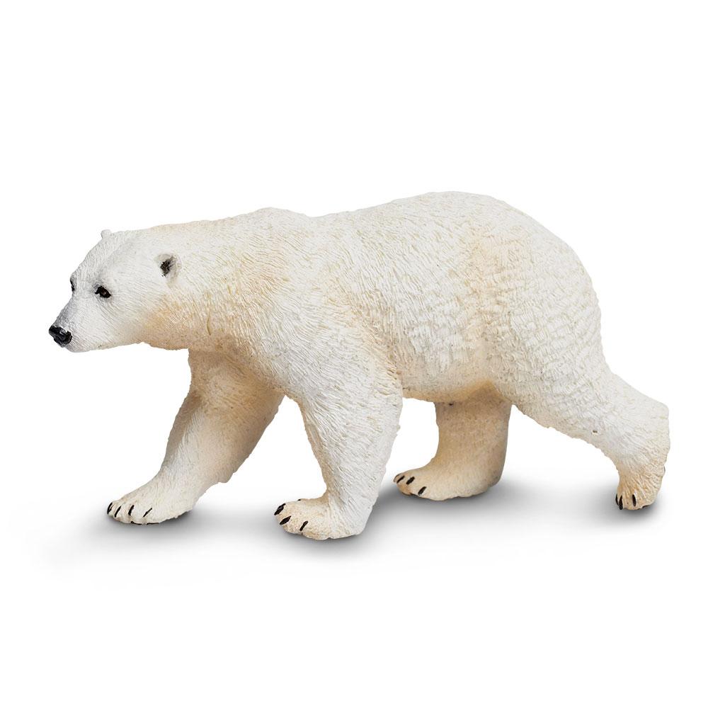 273329-Polar Bear