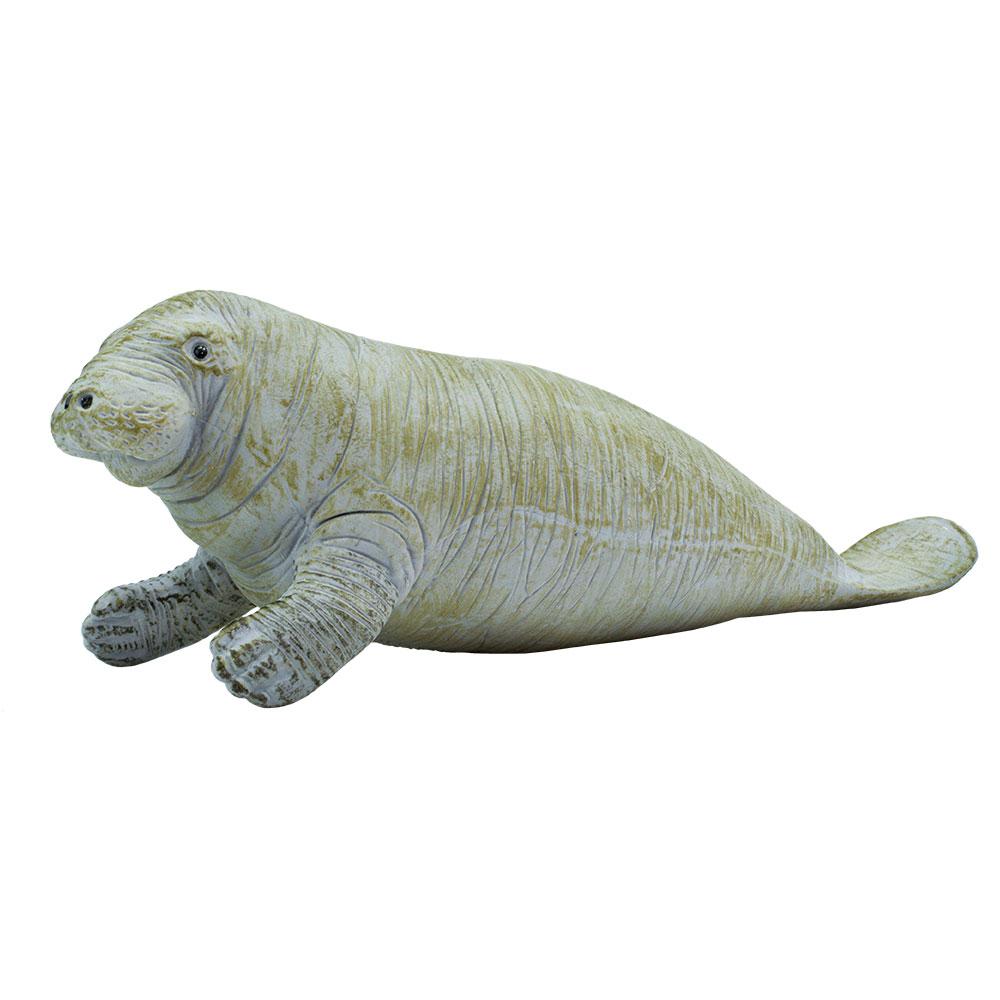 273929-Manatee