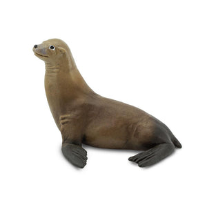 274229-Sea Lion