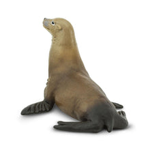 Cargar imagen en el visor de la galería, 274229-Sea Lion