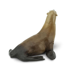 274229-Sea Lion