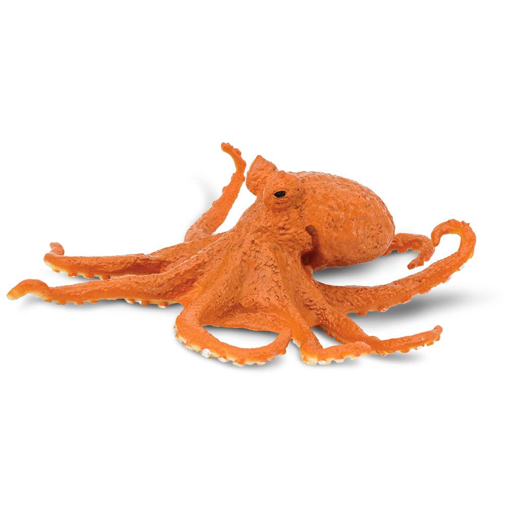 274429-Octopus