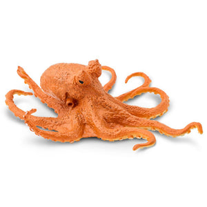 274429-Octopus