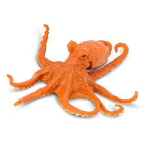 274429-Octopus