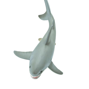 275029-Great White Shark