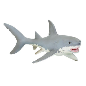 275029-Great White Shark