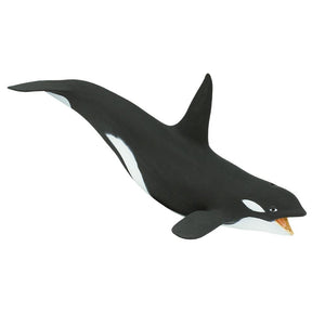 275129-Killer Whale