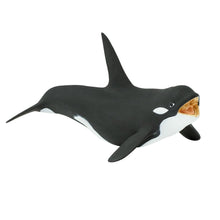 Cargar imagen en el visor de la galería, 275129-Killer Whale