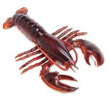 Cargar imagen en el visor de la galería, 281629-Maine Lobster
