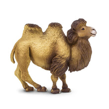 Cargar imagen en el visor de la galería, 290929-Bactrian Camel