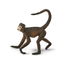 Cargar imagen en el visor de la galería, 291629-Spider Monkey