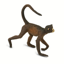 Cargar imagen en el visor de la galería, 291629-Spider Monkey