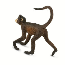 Cargar imagen en el visor de la galería, 291629-Spider Monkey
