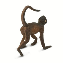 Cargar imagen en el visor de la galería, 291629-Spider Monkey