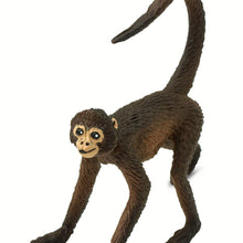 Cargar imagen en el visor de la galería, 291629-Spider Monkey