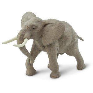 295629-African Bull Elephant