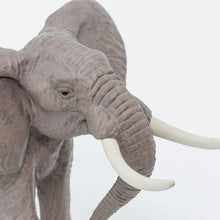 Cargar imagen en el visor de la galería, 295629-African Bull Elephant