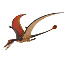 Cargar imagen en el visor de la galería, 300329-Rhamphorhynchus