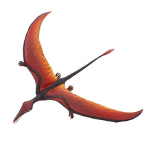 Cargar imagen en el visor de la galería, 300329-Rhamphorhynchus