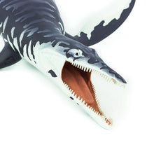 Cargar imagen en el visor de la galería, 304029-Kronosaurus