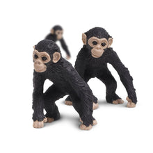 Cargar imagen en el visor de la galería, 349722-Chimps