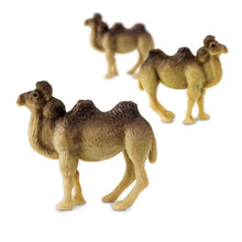 Cargar imagen en el visor de la galería, 353022-Camels
