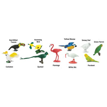 Cargar imagen en el visor de la galería, 680404-Exotic Birds