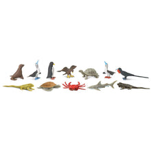 Cargar imagen en el visor de la galería, 681704-Galapagos