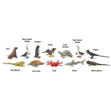 Cargar imagen en el visor de la galería, 681704-Galapagos