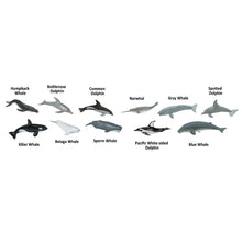 Cargar imagen en el visor de la galería, 694704-Whales &amp; Dolphins