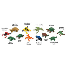 Cargar imagen en el visor de la galería, 760404-Frogs &amp; Turtles
